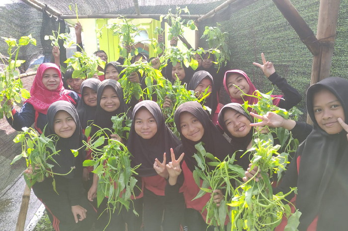 Siswa SD Negeri Hegarmanah Jatinangor tampak gembira memanen sayuran hasil tanam mereka (Dok.Hariansumedang.com/Tatang Tarmedi)