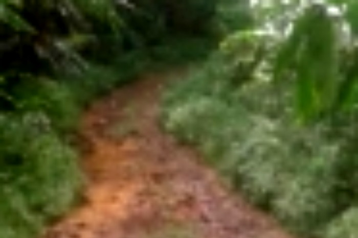 Jalan dari Desa Citengah Sumedang Selatan hingga ke Desa Jayamekar Cibugel puluhan tahun tidak tuntas diperbaiki (Dok.Hariansumedang.com/Tatang Tarmedi)