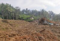 Tanah longsor terjadi di Kampung Joglo, Desa Sirnagalih dan Kampung Gintung Desa Cibenda, Kecamatan Cipongkor, Kabupaten Bandung Barat. (Dok,. BPBD Kabupaten Bandung Barat)