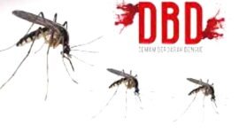 Pemkab isyaratkan bahwa DBD di Sumedang Melonjak (Dok.Hariansumedang.com/Engkos Perdana)