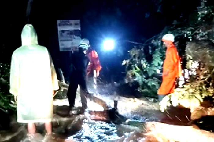 Petugas gabungan berhasil mengamankan pohon tumbang dan longsor di jalur mudik Wado - Sumedang (Dok.Hariansumedang.com/ Sumedangkab.go.id/ Tatang Tarmedi)