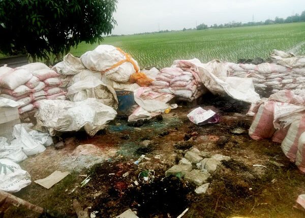 foto slider headline